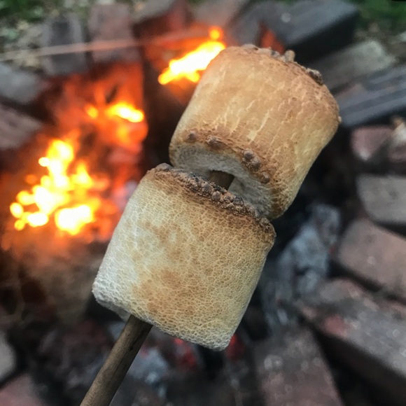 🐶 SOLD past this point 👇🏼 - Picture 6 of 8